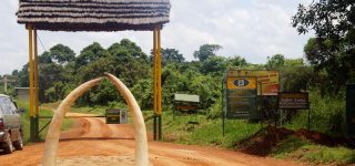 Park Entrance Fees
