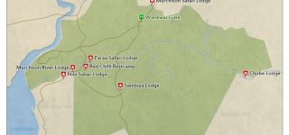 Getting To Murchison Falls