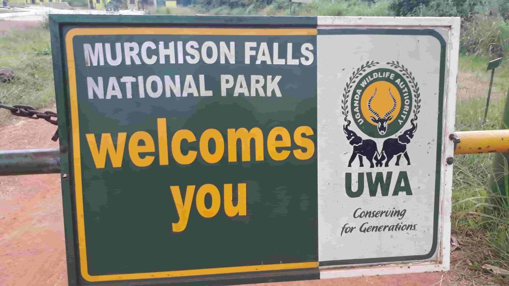 Park Entry Fees Murchison Falls National Murchison Fall Park Fees