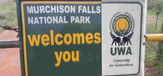 Park Entry Fees