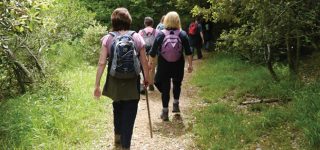 Hiking and Nature walks
