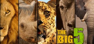 Murchison Falls Big Five