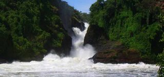 Save Murchison Falls