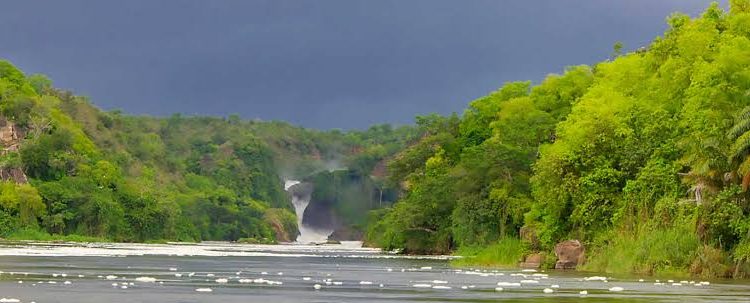 Uganda Safari in Murchison Falls National Park