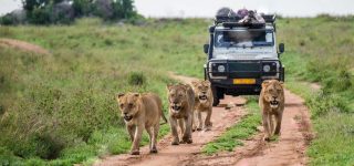 Top 8 Safari Activities in Uganda
