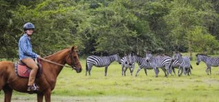 Top 5 Safari Activities in Lake Mburo National Park