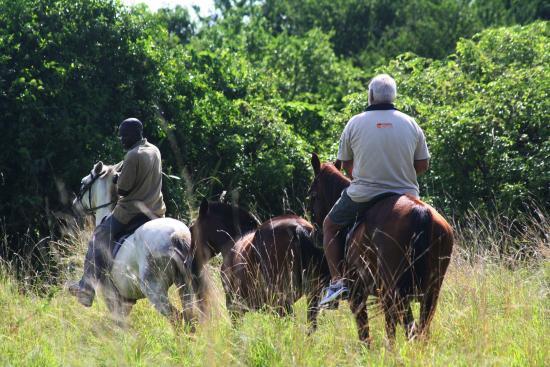 Kabwoya Wildlife Reserve