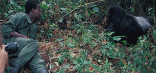 4 Days luxury gorilla and Lake Bunyonyi safari