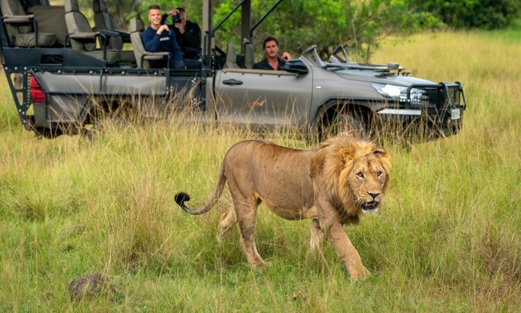 9 Days Rwanda Classic Safari